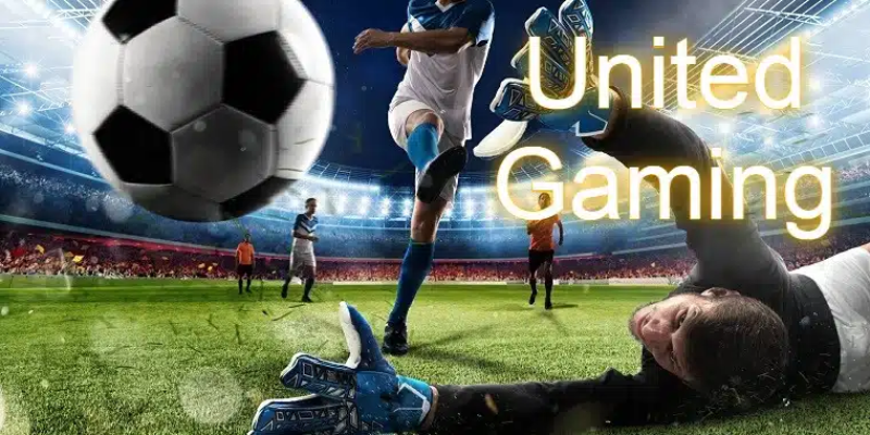 Những lưu ý khi đặt cược trò chơi United Gaming Fi88 tân binh cần nắm vững